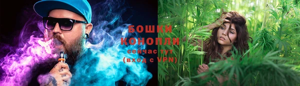 ПСИЛОЦИБИНОВЫЕ ГРИБЫ Бронницы