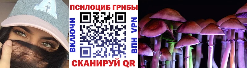 мега ссылка  Раменское  Галлюциногенные грибы Psilocybe 