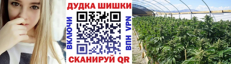 Бошки марихуана конопля  гидра ONION  Раменское 